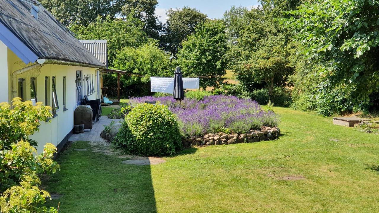 Rolso Retreat Villa Knebel Kültér fotó
