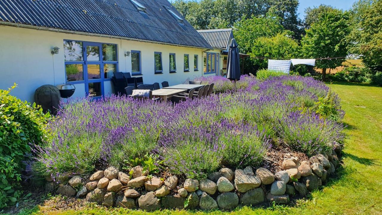 Rolso Retreat Villa Knebel Kültér fotó